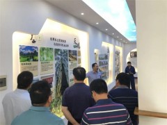 鹿寨县人大领导实地调研壮象林业产业高质量发展工作
