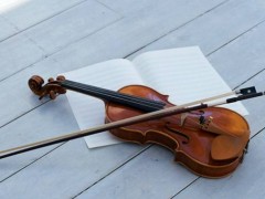 初学者怎样正确选购一把好的小提琴？小提琴的选购技巧