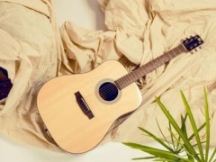 初学者怎样选购合适的吉他？吉他的选购技巧