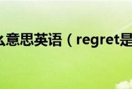 regret是什么意思英语（regret是什么意思）