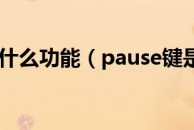 pause键是什么功能（pause键是什么意思啊）