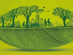 美巢集团践行可持续发展,打造环保家居新生态生态城市