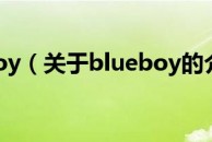 blueboy（关于blueboy的介绍）