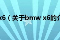 bmw x6（关于bmw x6的介绍）