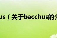 bacchus（关于bacchus的介绍）