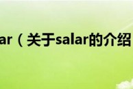 salar（关于salar的介绍）