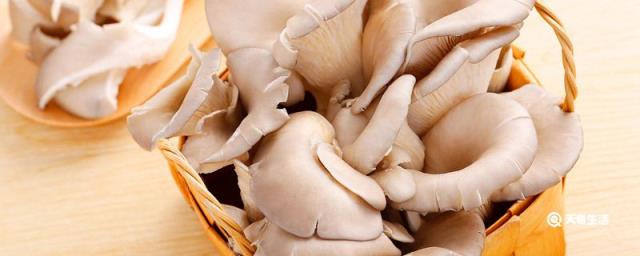 平菇一般煮多久才算熟?