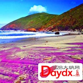 世界上有紫色的沙滩吗？
