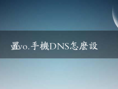 vivo.手机DNS怎么设置