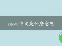 snow中文是什么意思