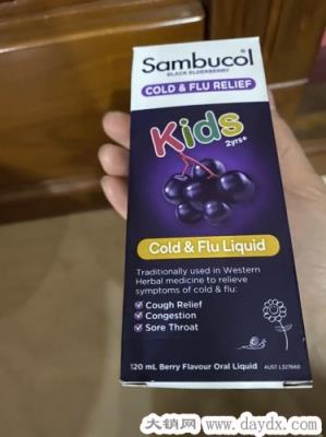 Sambucol儿童黑接骨木糖浆怎么样成分安全吗，小黑果营养液使用效果