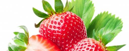 发芽的草莓长什么样 发芽的草莓是哪种样子