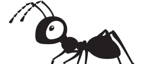 蚂蚁分类 蚂蚁分类介绍