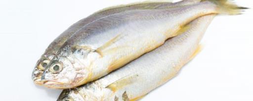 家常煮鱼的做法 水煮鱼怎样做才好吃？