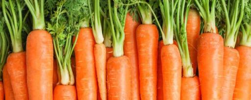 胡萝卜咸菜的腌制方法 如何腌制胡萝卜咸菜