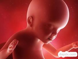 摸肚子对胎儿有影响吗