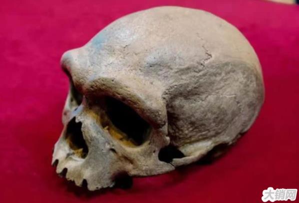黑龙江发现“龙人”头骨，中国人可能是其后代，人类起源被改变