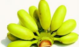 香蕉与芭蕉的区别 四点不同之处你知道哪些