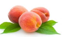 桃子的营养价值与食用功效
