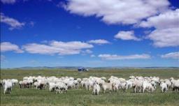 去内蒙古旅游攻略需要注意什么