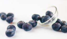 蓝莓能在室内种吗 蓝莓可以在室内种吗