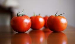 西红柿在家种植的方法（西红柿在家种植的方法和步骤）