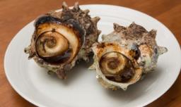 煮熟的海螺隔夜能吃吗 海螺做熟后不能隔夜吃?