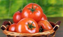 西红柿快速膨大秘诀 西红柿膨大需要什么