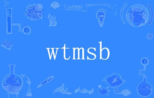 【网络用语】“wtmsb”是什么意思？