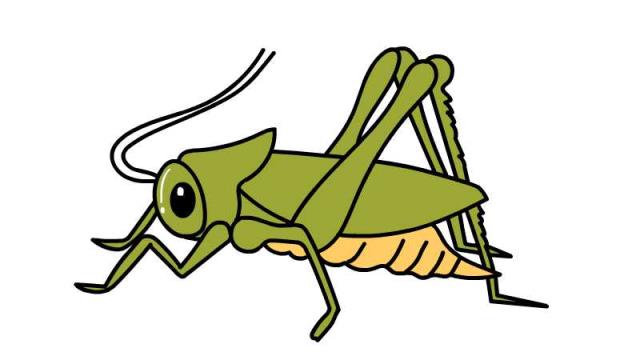 蟋蟀怎么画 简单可爱图片