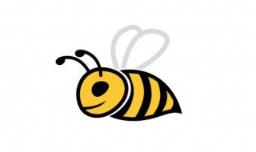 常见蜜蜂养殖工具是什么（养蜜蜂工具全套(淘宝网）