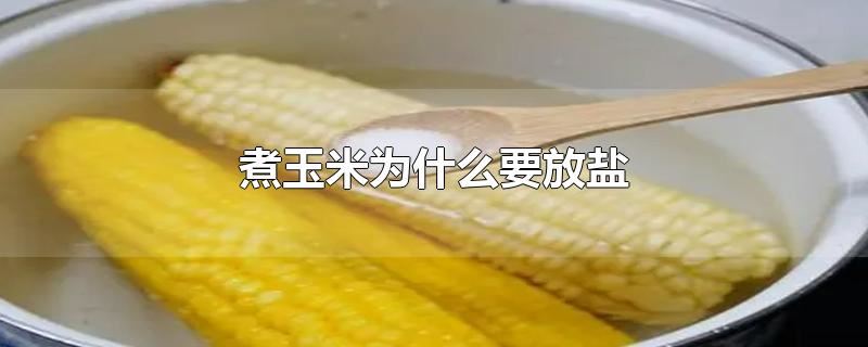 煮玉米为什么要放盐