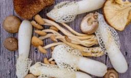 时间长发黄的香菇能吃吗，香菇变黄还能吃吗