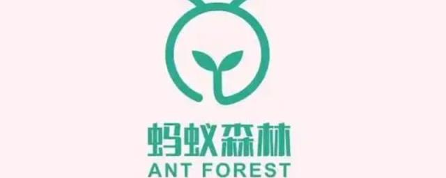 蚂蚁森林80g能量是什么 蚂蚁森林80g能量是什么交易