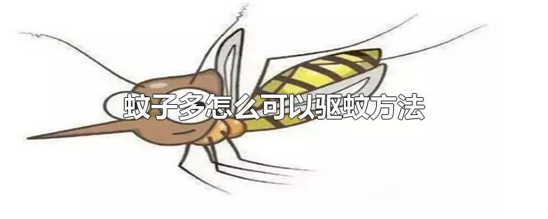 蚊子多怎么可以驱蚊方法