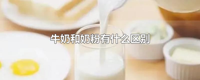 牛奶和奶粉有什么区别