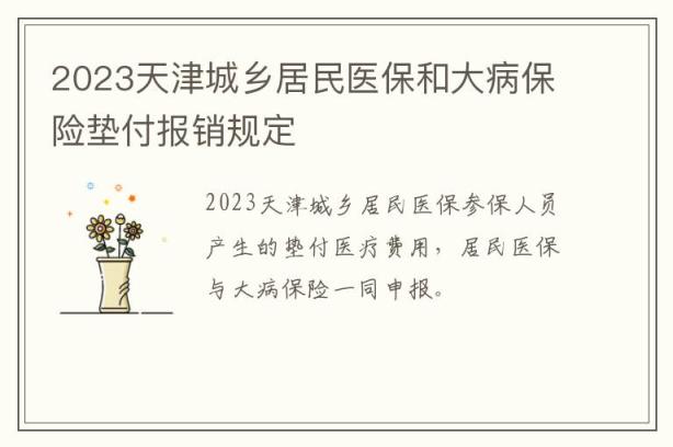 2023天津城乡居民医保和大病保险垫付报销规定