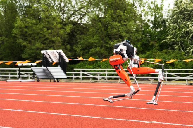 24.73秒！双足机器人Cassie挑战百米跑，创下世界纪录
