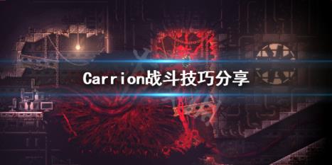 Carrion战斗技巧分享 红怪战斗有什么技巧