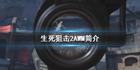 生死狙击2AWM是什么 生死狙击2AWM简介