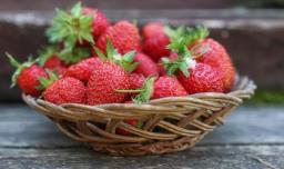 家里草莓种植方法（草莓在家种植方法）