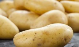 在家里土豆的种植方法，在家里土豆的种植方法有哪些