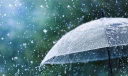 关于写雨的诗 关于写雨的诗有哪些