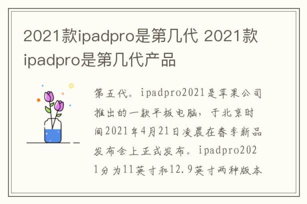 2021款ipadpro是第几代 2021款ipadpro是第几代产品