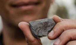 化石是怎样形成的对于我们研究早期人类有什么作用