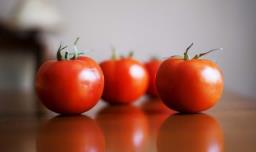 西红柿保存方法和注意事项 西红柿保存办法