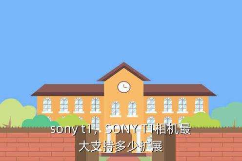 sony t1，SONY T1相机最大支持多少扩展