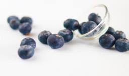 蓝莓多久才熟透，蓝莓多久才熟透吃