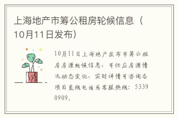 上海地产市筹公租房轮候信息（10月11日发布）