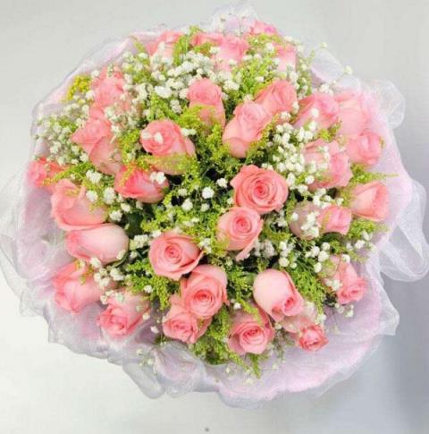 粉红色玫瑰的花语是什么？不同朵数粉色玫瑰花的花语